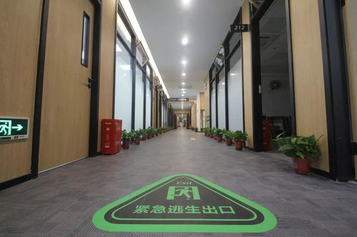 精品工程，共筑夢想——新東方小寨東路校區圓滿竣工